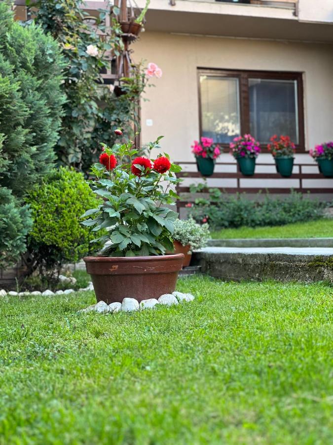 City Centar Apartman Сараево Экстерьер фото